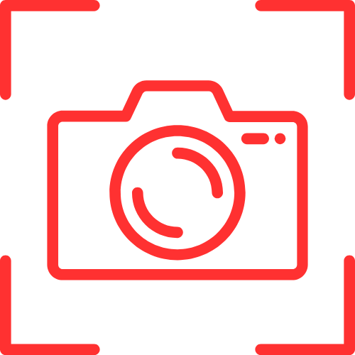 Amaryllis Cam